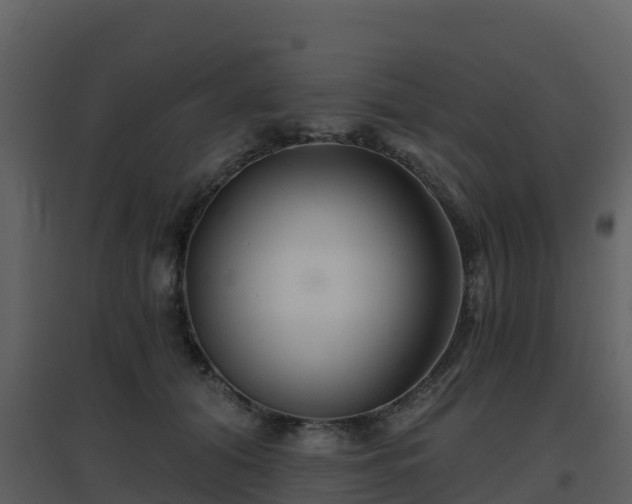 X0000096710608200802121227