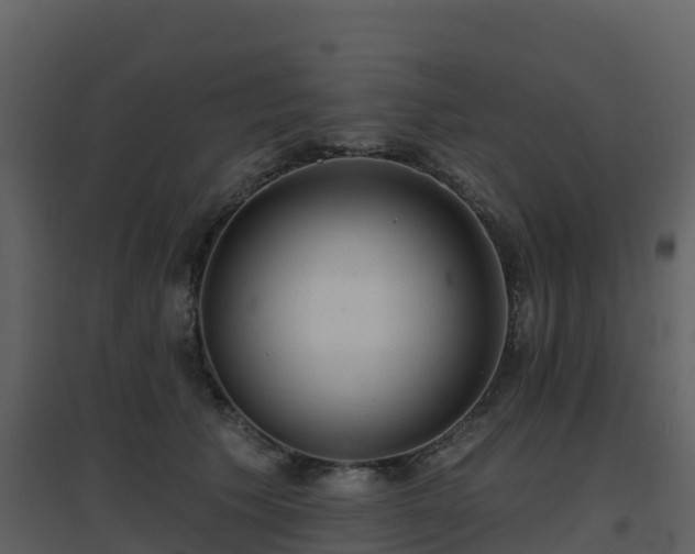 X0000096710609200802121227