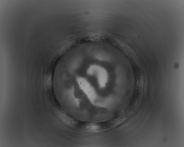 X0000096710610200802121227