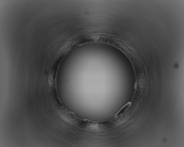 X0000096710611200802121227