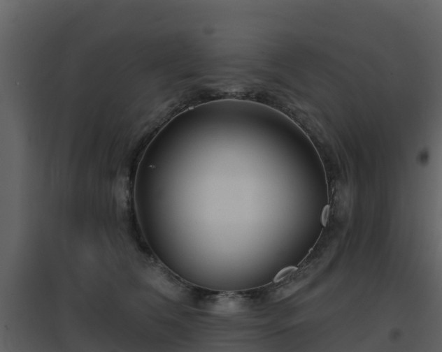 X0000096710612200802121227