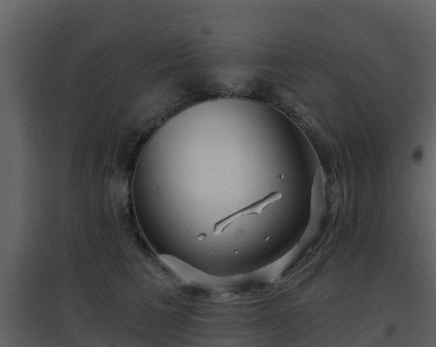 X0000096710613200802121227