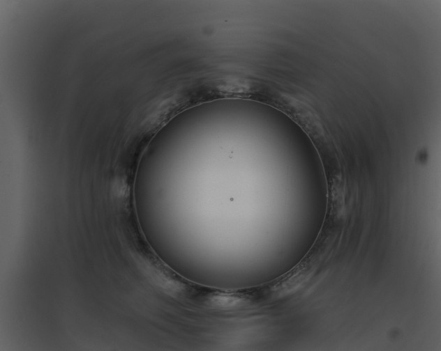 X0000096710614200802121227