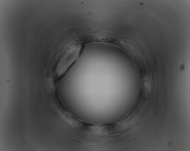 X0000096710615200802121227