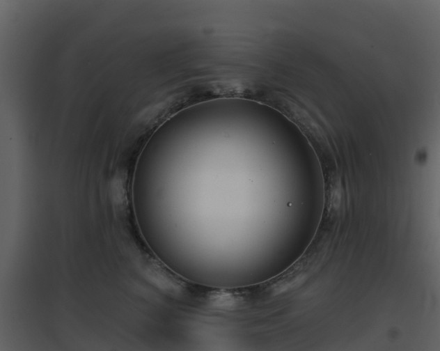 X0000096710616200802121227