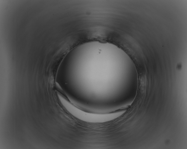 X0000096710617200802121226