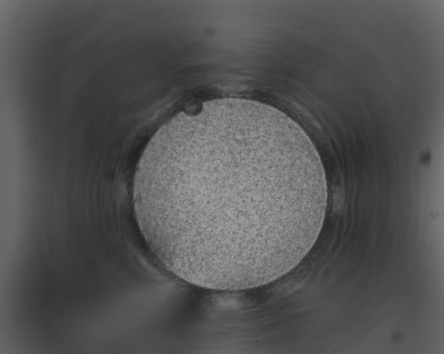 X0000096710618200802121226