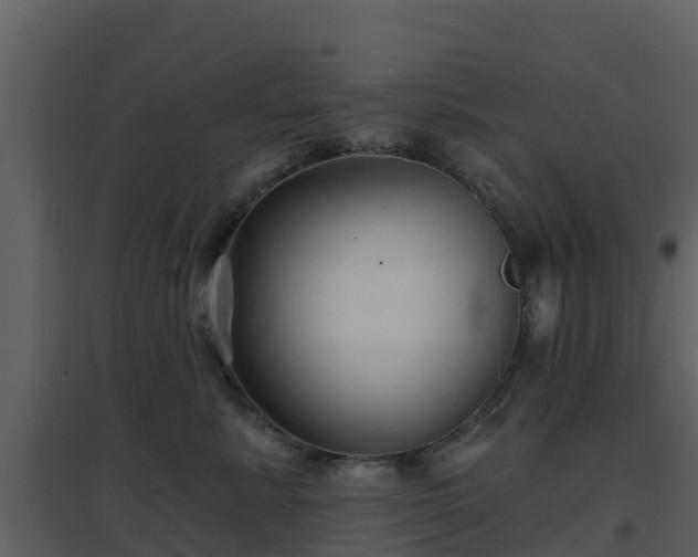 X0000096710619200802121226