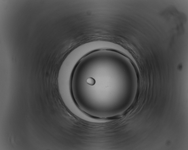 X0000096710621200802121226