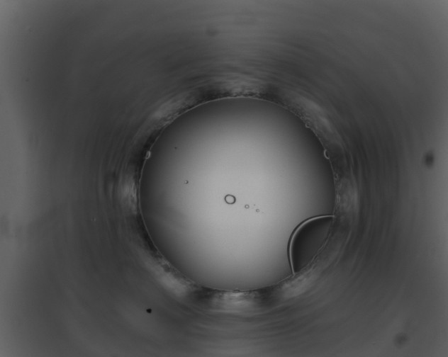 X0000096710622200802121226