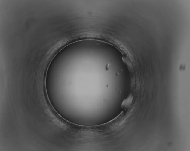 X0000096710625200802121226