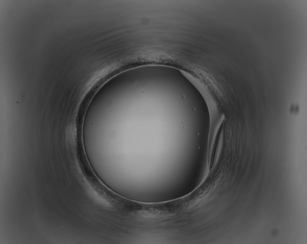 X0000096710630200802121226