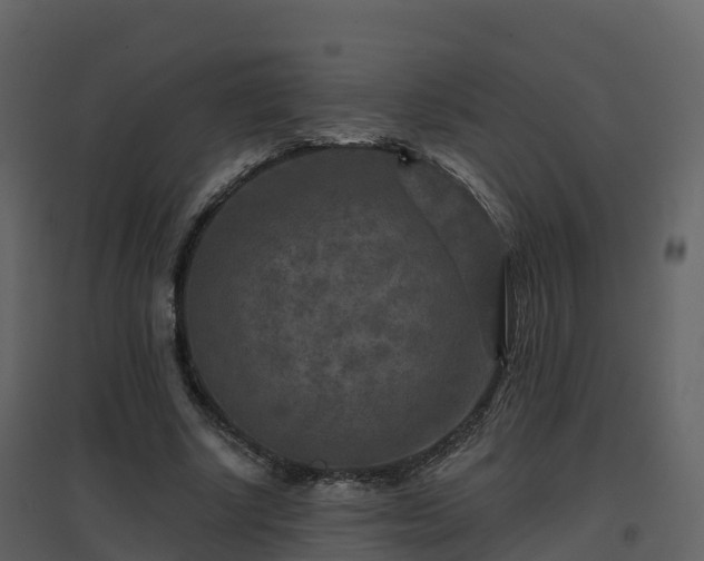 X0000096710634200802121226