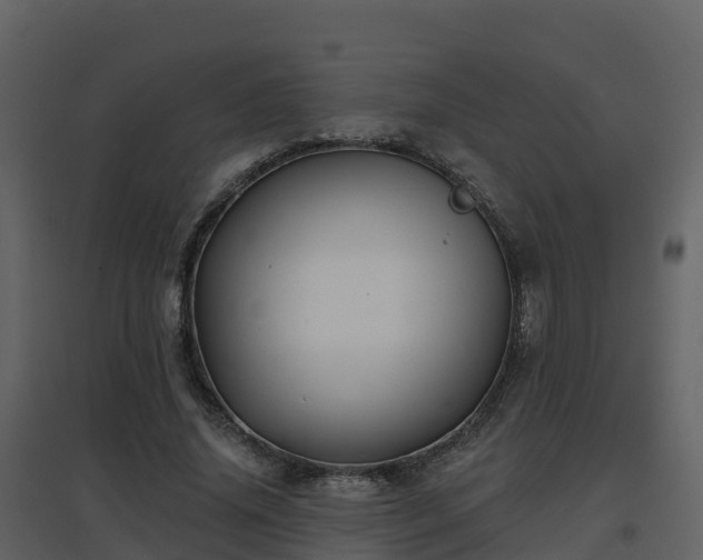 X0000096710636200802121226