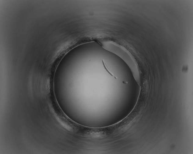 X0000096710638200802121226