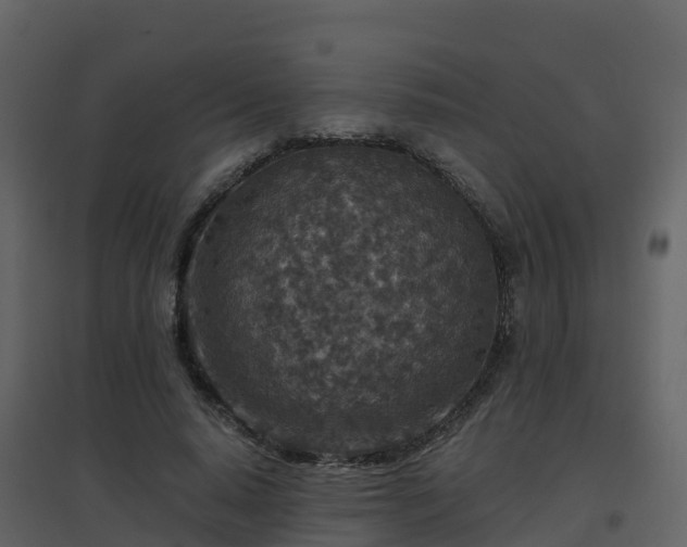 X0000096710640200802121226