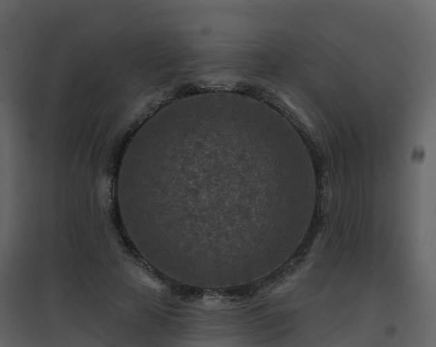 X0000096710641200802121226