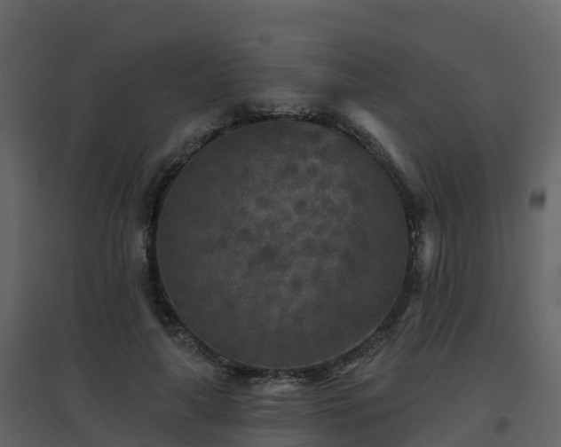 X0000096710643200802121226