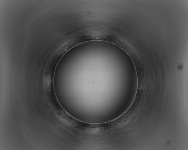 X0000096710646200802121226