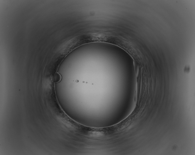 X0000096710649200802121226