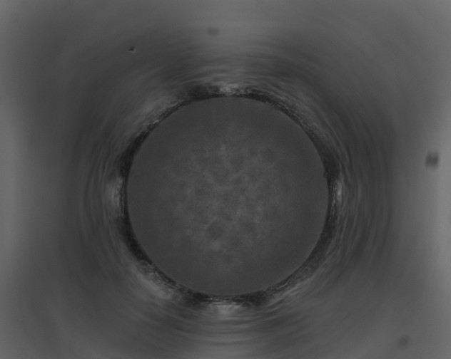 X0000096710650200802121226