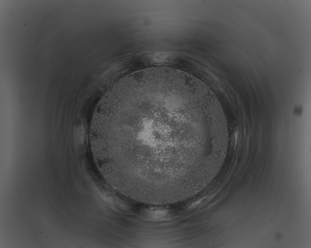 X0000096710651200802121226