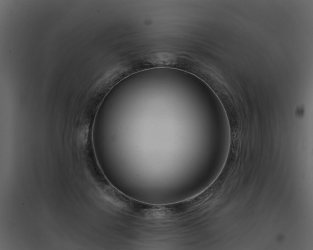 X0000096710652200802121226