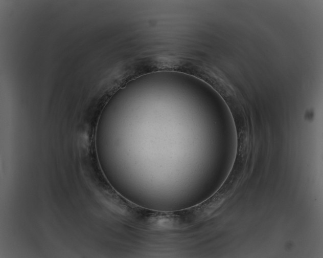 X0000096710655200802121226