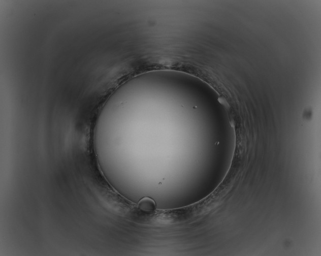 X0000096710656200802121226