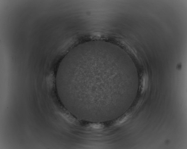 X0000096710659200802121226