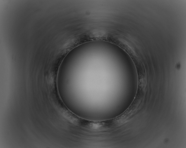 X0000096710662200802121226