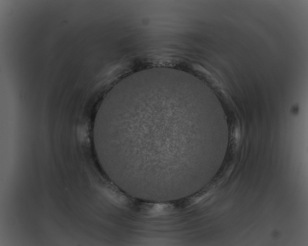 X0000096710663200802121226