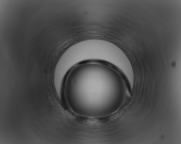 X0000096710666200802121226