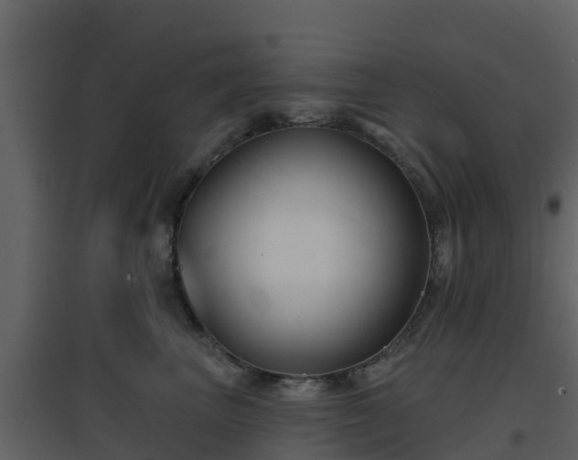 X0000096710667200802121226