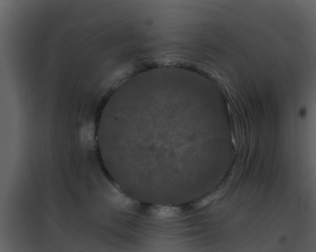 X0000096710670200802121226