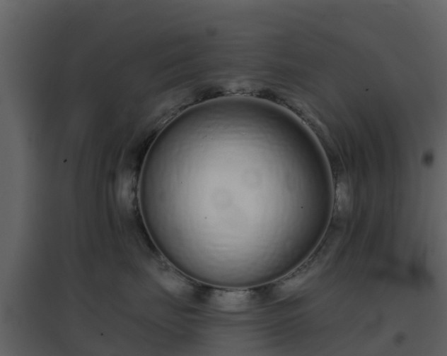 X0000096710671200802121226