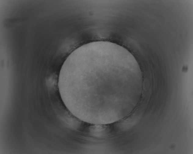 X0000096710672200802121226