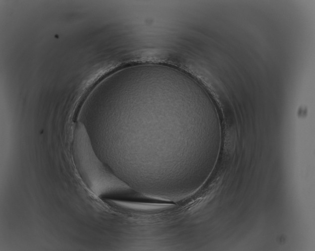 X0000096710673200802121226