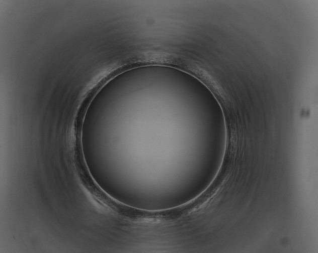 X0000096710674200802121226