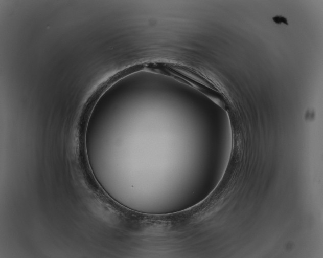 X0000096710676200802121226