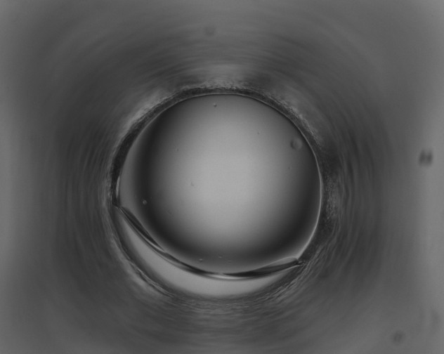 X0000096710677200802121226