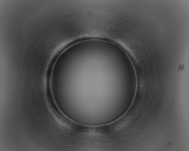 X0000096710678200802121226