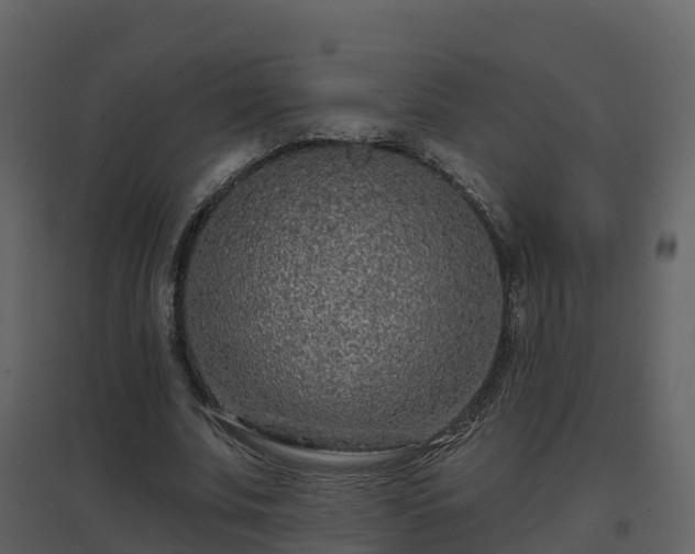 X0000096710679200802121226