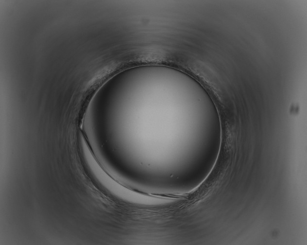 X0000096710681200802121226