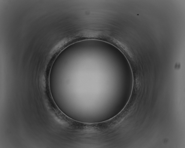 X0000096710682200802121226