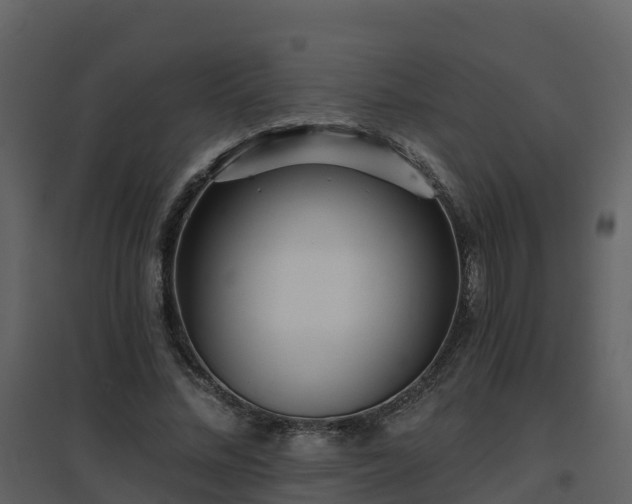 X0000096710684200802121226