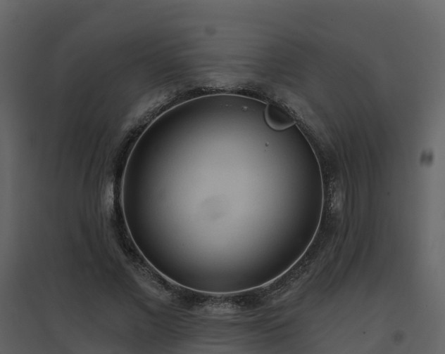 X0000096710685200802121226