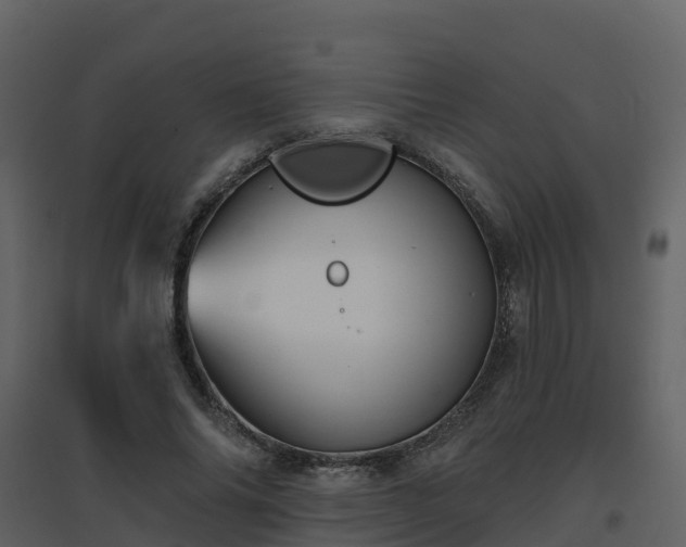 X0000096710686200802121226