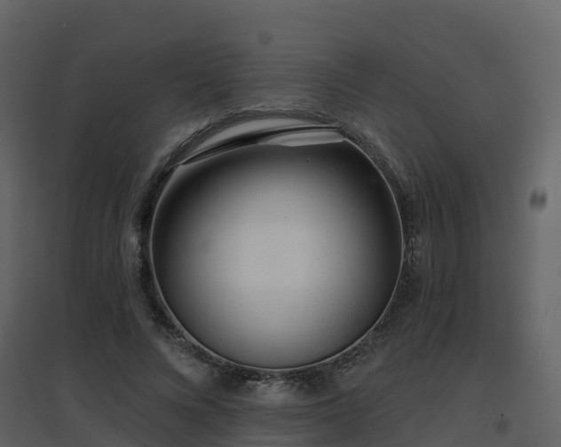 X0000096710688200802121226