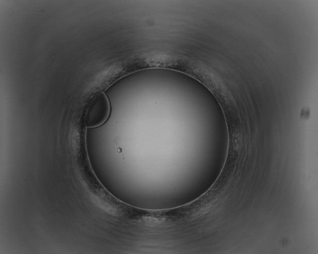 X0000096710690200802121225